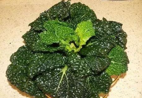 农村这个蔬菜经霜雪后, 味道更加清甜爽口, 比吃肉还要香