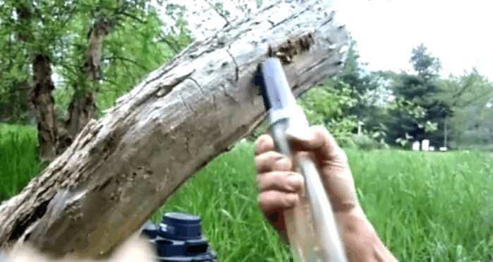 男子居然用这种家庭用品清理蜂群