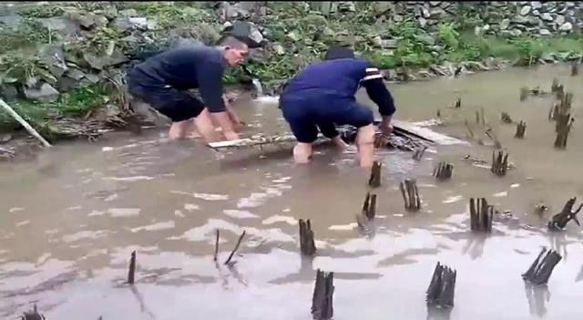 农村这样抓鱼不用钩, 轻松抓起一堆鱼, 看的人心里跃跃欲试