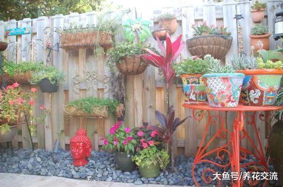 围栏上不种植物就太浪费了, 看花友在墙上种满各种花卉