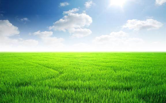 人生感悟的句子简短的, 句句精辟现实