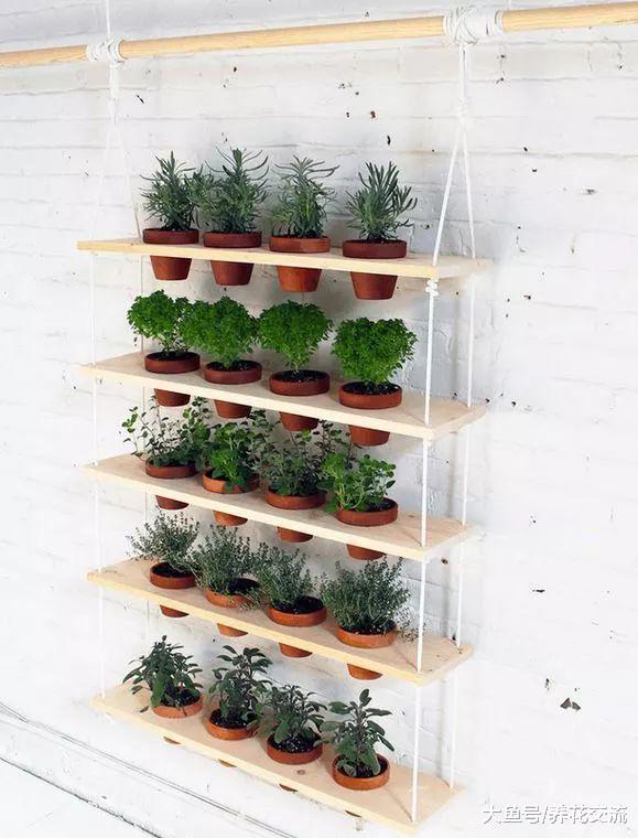 10个家庭养花创意, 将花卉植物种在墙上, 没有空间也能养出花园