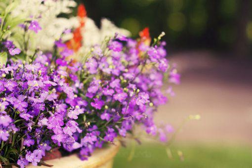 你忘记了这十句话, 才不会如此不安!