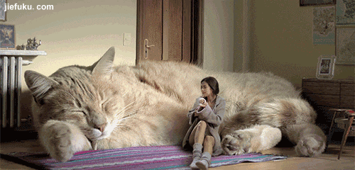 奇葩买家秀|自己剁的手, 含泪也要好评