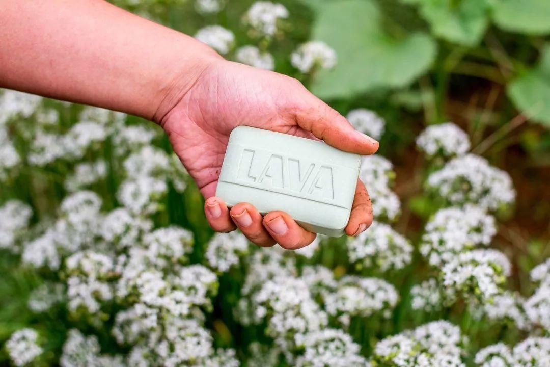 家里的肥皂水就能杀虫除菌, 养花都不用花钱买药了