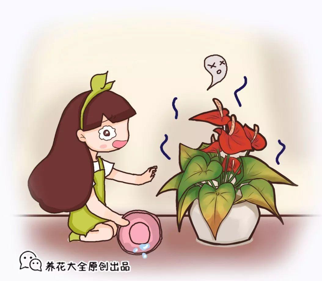黄叶不能乱浇水, 不对症下药, 浇一盆死一盆!