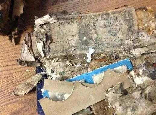 搬家发现一个箱子: 打开后高兴了!