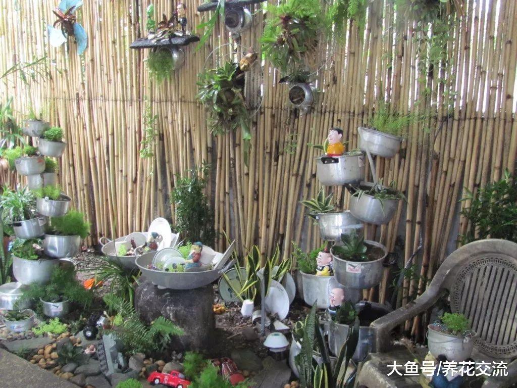 媳妇把家里的旧鞋子、茶壶和闹钟用来种花, 养花也要省钱