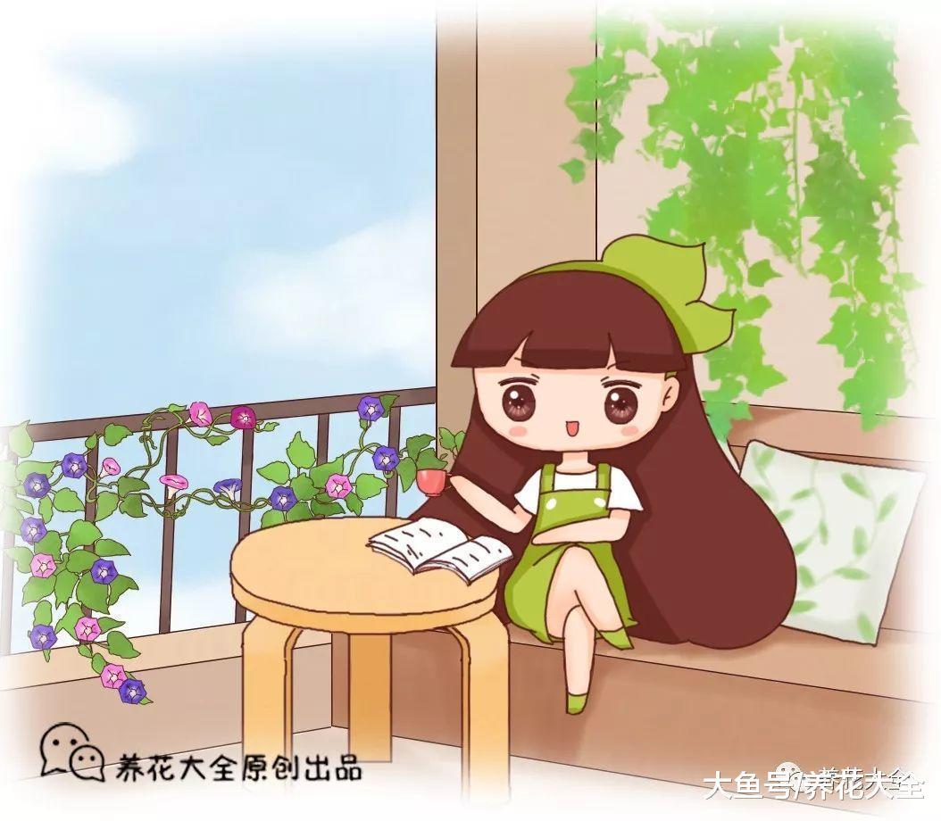 阳台养棵爬墙高手, 1年爬满阳台, 路过的人都羡慕