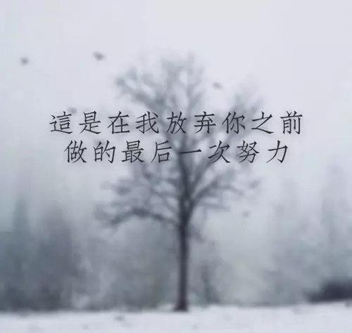 如果你还放不下某个人, 请看看!
