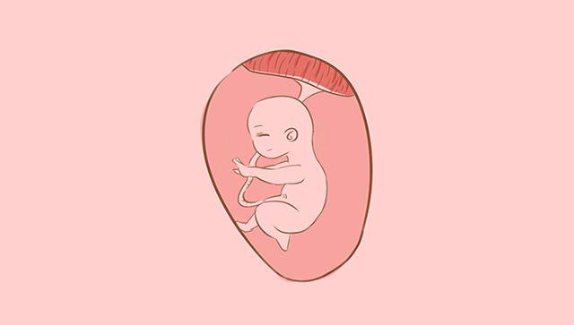 宝宝出生后2个小时不闭眼的原因, 一般是这几个, 宝妈都知道吗