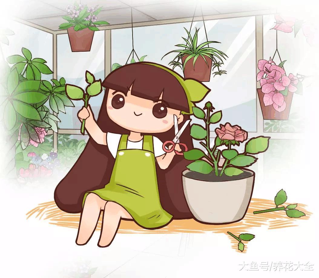 这5种花, 最适合现在扦插, 生根快好成活, 插了就能活!