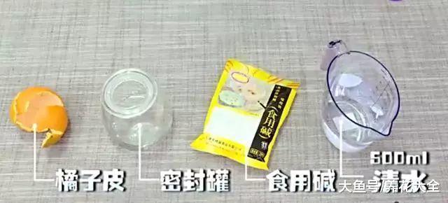 橘子皮别扔, 自制洗洁精, 好用又健康环保!