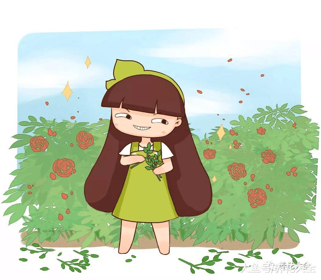 柳树枝, 松树皮都是养花的好材料, 盆底一放花嗷嗷长!