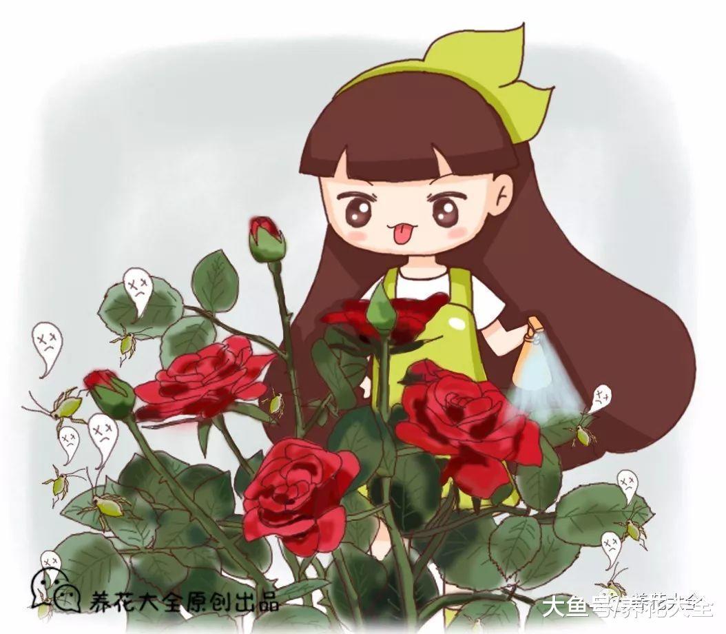 浇水时兑点料, 虫子全死光, 花越长越旺!