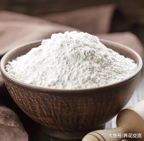 这16种方法都可以轻松赶走家里的蚂蚁, 避免花卉遭殃