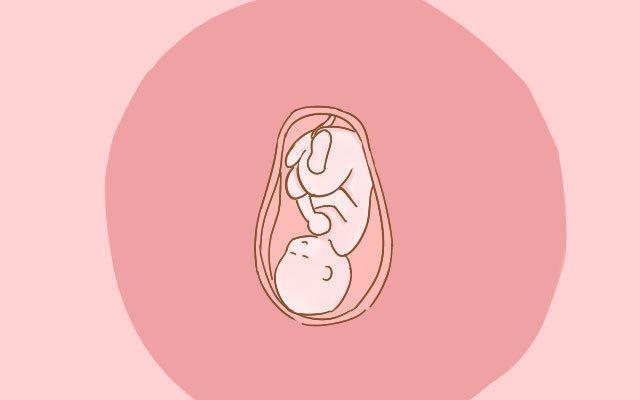 为了孕妈和胎宝健康, 孕期做这3项产检, 老公最好别缺席