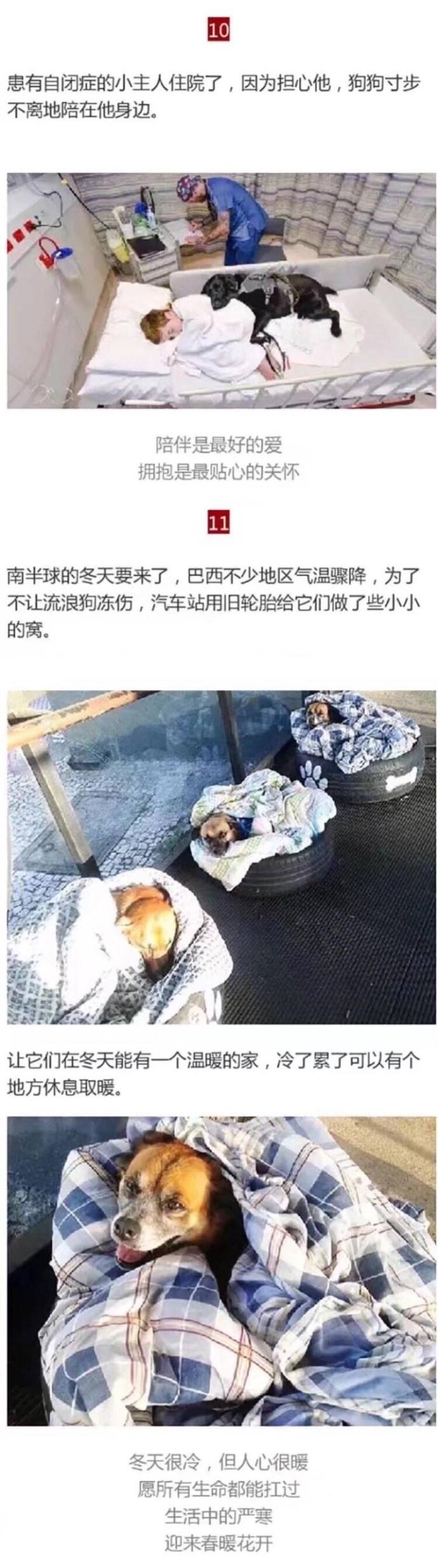 不管多么绝望, 都不要放弃, 因为那些帮助你的人, 一直都在竭尽全力