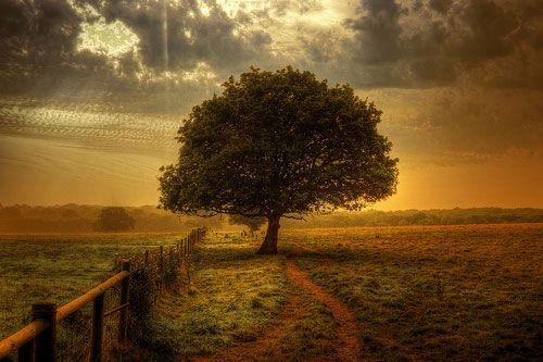 读这十句话, 别苦要自己!