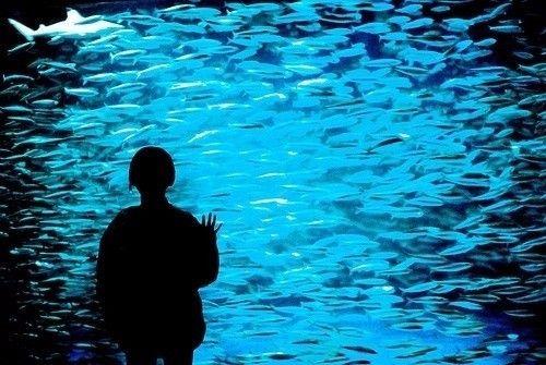 只要一闭眼, 你就会错过这十句话!