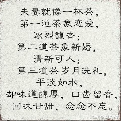 相识一辈子, 爱着一辈子, 争吵一辈子, 这就是夫妻! 讲的多真!