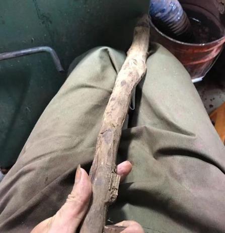 山西农民捡到这样的木头, 劈开是黑色! 被说捡到宝