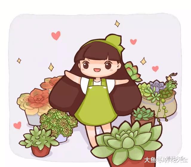 自从养了多肉, 只有买买买, 中毒太深!