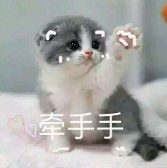 撩妹撩汉情话+表情包, 请查收! 告白失败算我输!