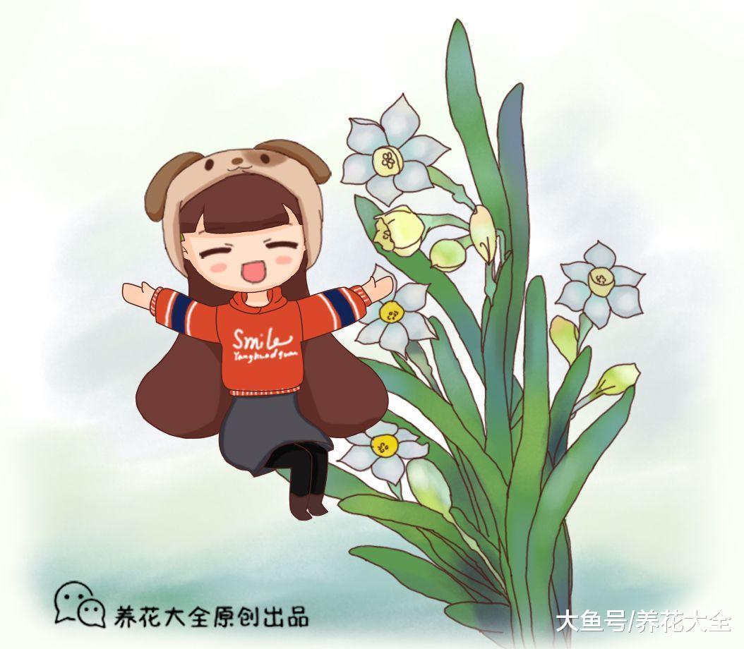 花开赛牡丹, 飘过满屋香, 这花养1盆, 平安祥瑞齐到家!