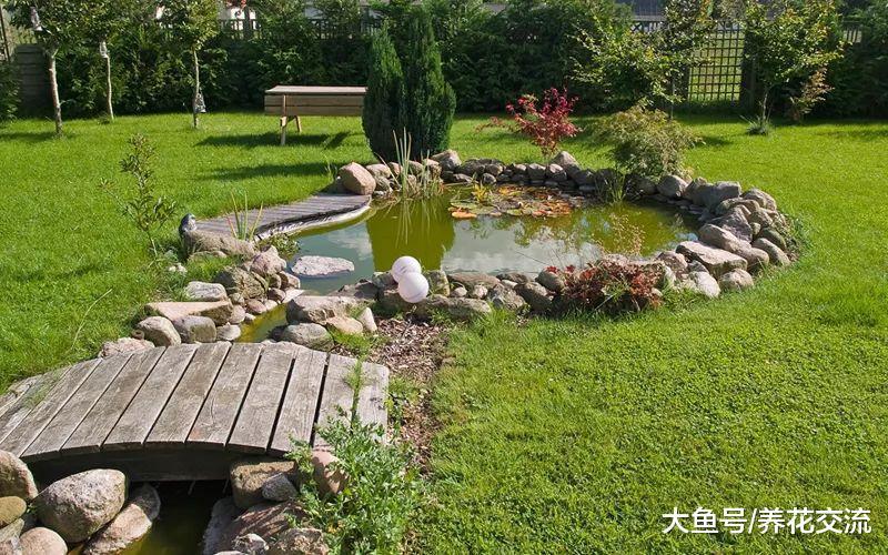12个冲击眼球的养花布置, 花朵像彩虹, 新花友只能望而兴叹