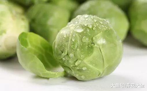 几个小妙招一学会, 新鲜瓜果蔬菜轻松挑到手!