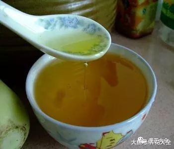 她用1斤油, 把君子兰养成了大白菜
