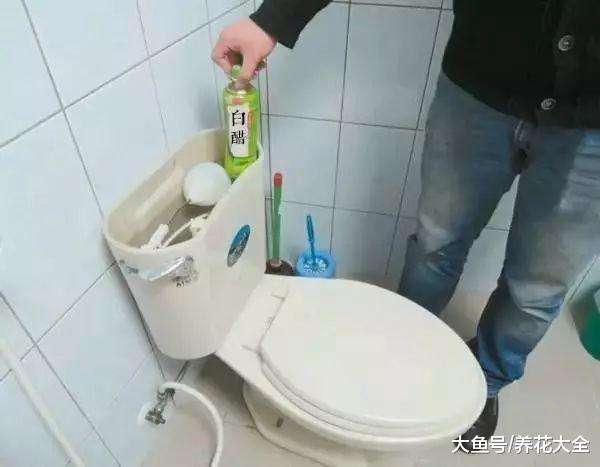 老妈只用1杯醋, 就搞定所有家务活, 厕所厨房一尘不染!