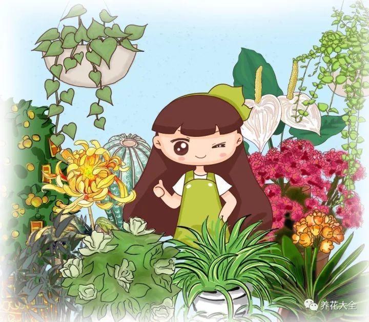 2种花一起养, 团团圆圆运势旺