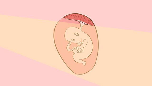 孕28周做好这几件事, 可以让孕妈和胎宝宝安全渡过整个孕期
