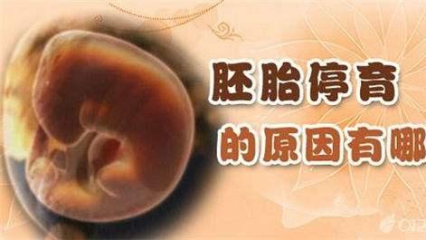 胎儿突然停止生长6大原因 只怪你犯了这致命的错!