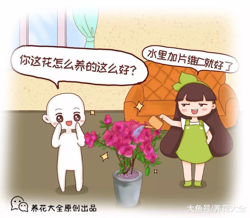 浇水时这么干, 轻松让花长得更茂盛