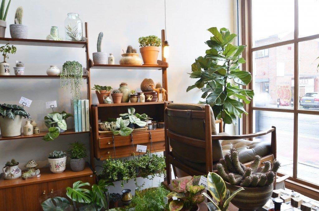 养花就是个坑, 它占据了我的业余生活, 你还想养花么?