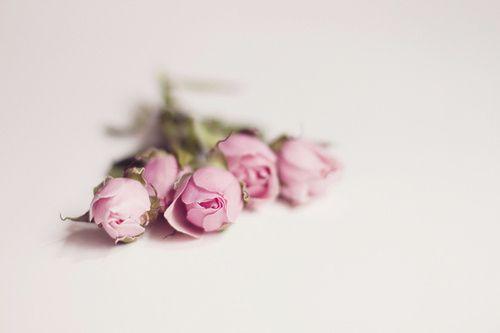 把这十句话放在心底, 化为最坚定的力量!