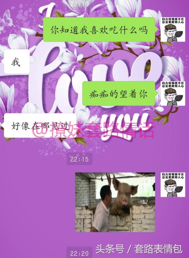 告别单身, 从撩妹套路情话开始, 哪些撩妹套路让你久久不能平复?