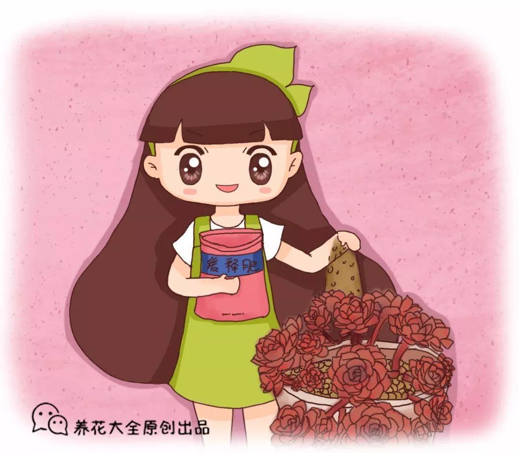 这个东西家家有, 随便往盆里扔一点, 多肉再也不烂根!