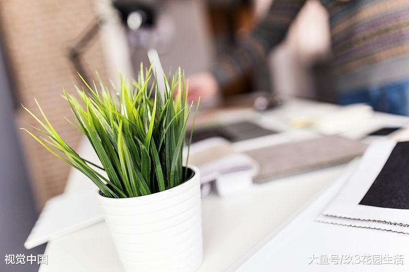 植物之间还可以相互的交流你知道吗?