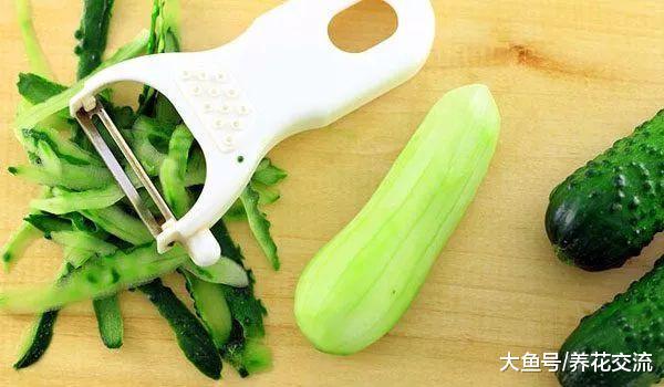 这16种方法都可以轻松赶走家里的蚂蚁, 避免花卉遭殃