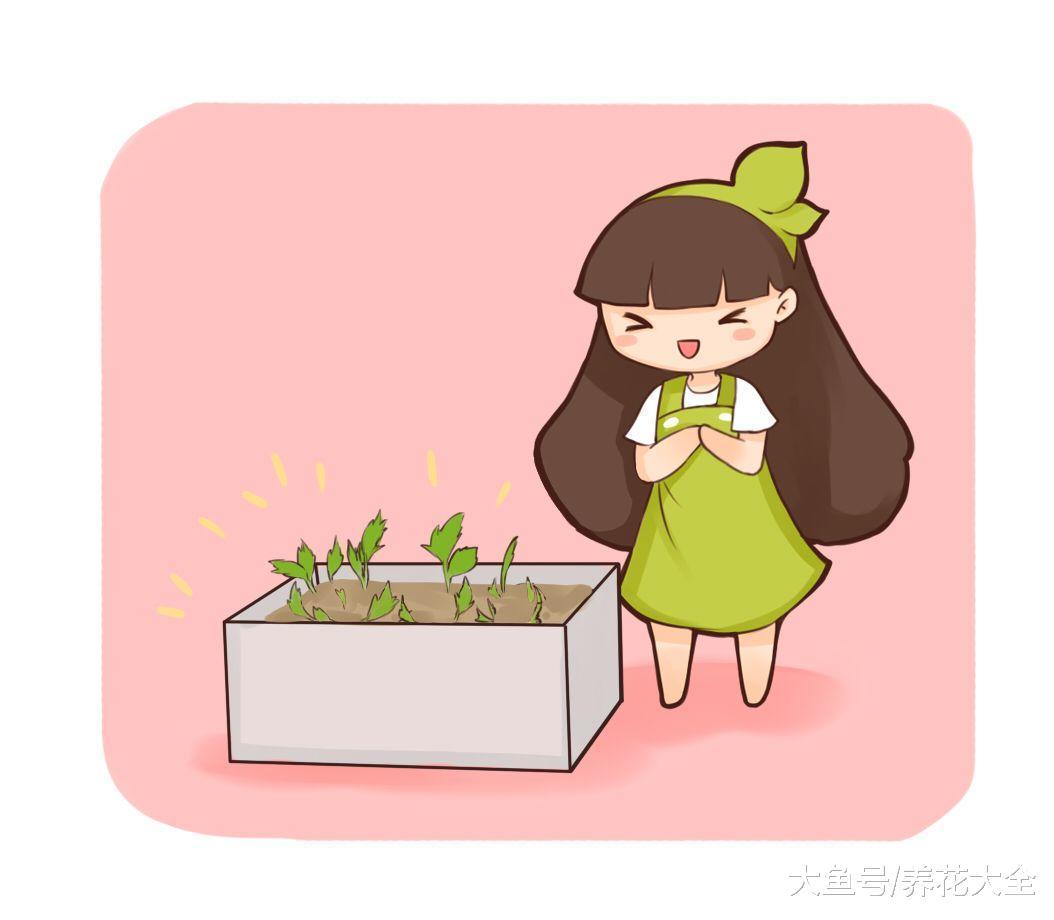 几粒绿豆, 一把热水壶, 3天发出无毒绿豆芽!