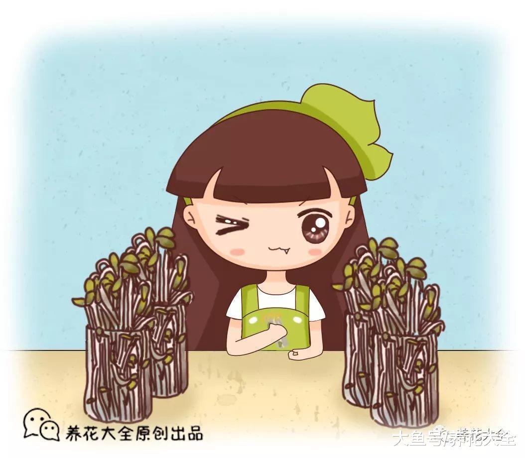 豆芽不用买, 1个可乐瓶就能做出来, 绿色又美味