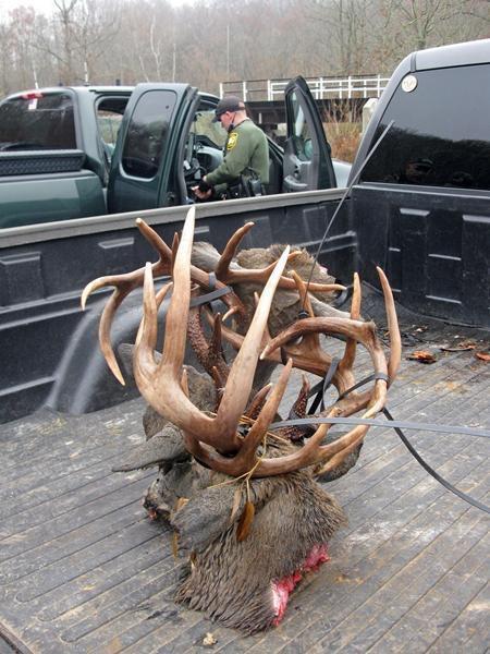 男子野外发现好东西, 捞上来一看, 众人的满是嫉妒