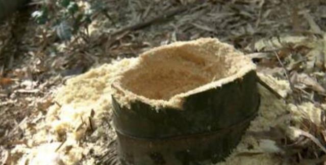 在山里忙到天黑竟被城里人“糟蹋”! 看到后真心酸