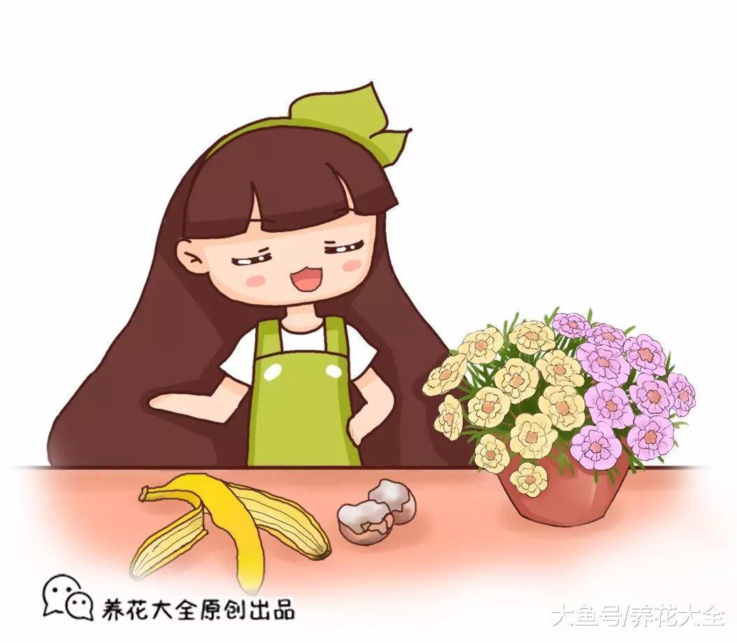 教你几个小妙招, 蔫了吧唧的花立马复活, 枝叶马上变挺拔!