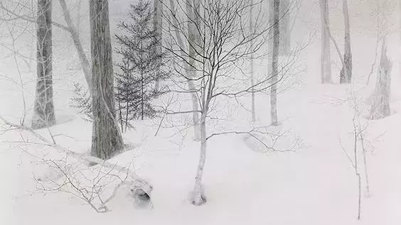 张岱:独一人而知天下有雪