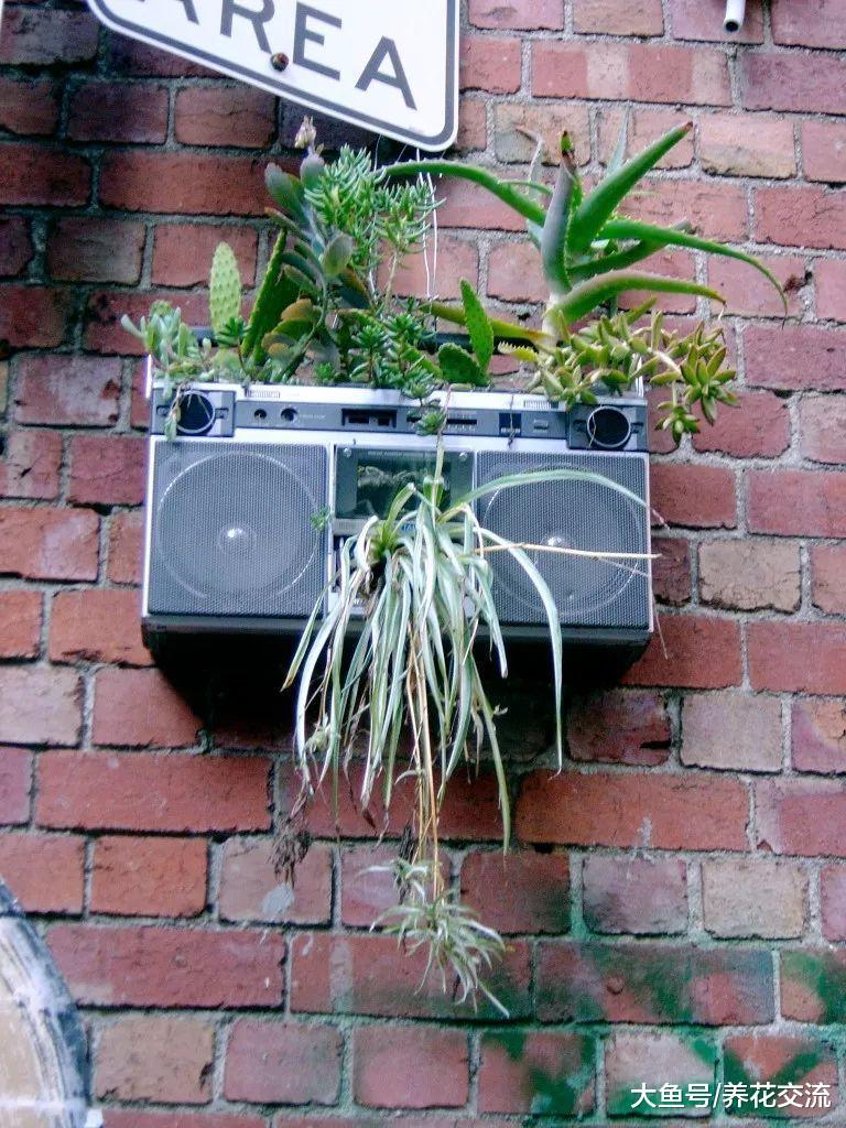 废弃的家具变成花卉的最佳容器, 9个乡村风格的花盆改造